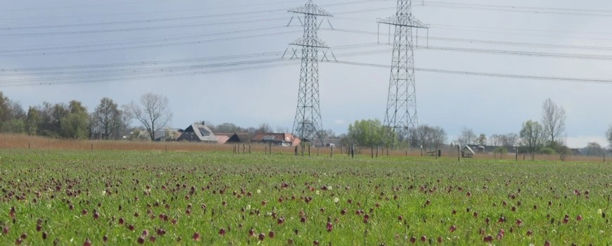 leadfoto infranatuur.jpg